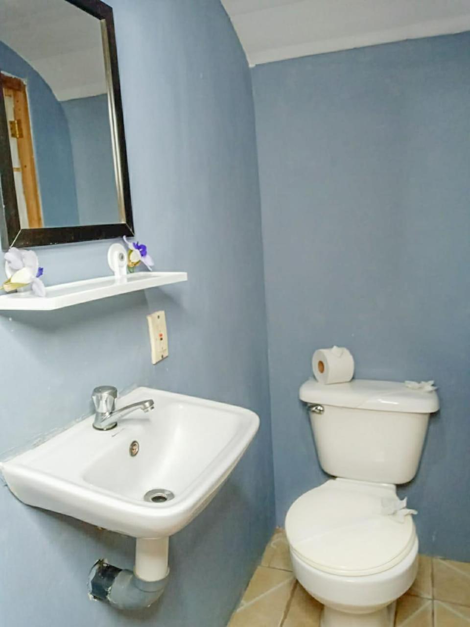 Hospedaje Combi Dream Bird Apartment Playas del Coco Екстериор снимка